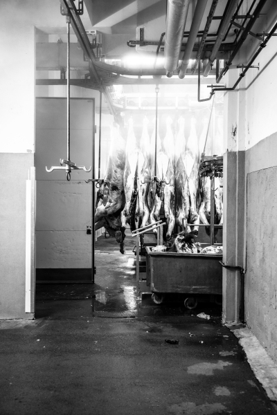 2014 02 19 Abattoir LuxeuilIMG 8719